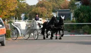 Vor dem Johannes-Thal-Klinikum fährt eine weiße Kutsche vor (mit Komparsin).