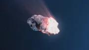 Vor 66 Millionen Jahren traf ein riesiger Asteroid auf die Erde. Er veränderte den Planeten grundlegend.