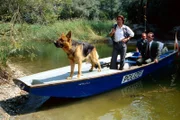 Kommissar Rex betätigt sich mal wieder als Spürnase. Zusammen mit Kommissar Moser (Tobias Moretti, l.) und Stockinger (Karl Markovics, r.) sind sie in den Donau-Auen auf der Suche nach dem "Liebespaarmörder".