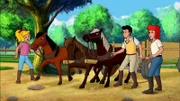 Als die neuen Ponys leckere Äpfel entdecken, werden sie wild.