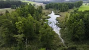 Langsamer Wasserabfluss und wasserstauende Tonschichten im Untergrund haben das einmalige, sieben Kilometer lange Deusmauer Moor entstehen lassen, Besonders typisch sind hier die orchideenreichen Feuchtflächen. Damit die Artenvielfalt erhalten bleibt, muss jedes Jahr das Schilf gemäht werden.