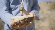 Die Fossilien der Pflanzen und Tiere, die kurz nach dem Asteroideneinschlag lebten, verbergen sich meist in kompakten mineralischen Gebilden, sogenannten Konkretionen.
