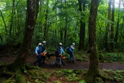 6 - Suicide Forest Jul 15, 2012 - Aokigahara, Japan - Suicide rescue and prevention workers assist a young woman trying to take her life.