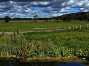 Hornborgasjön
