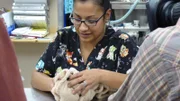 Dr. Jeff must act fast to save a kitten with head trauma. Then Dr. Amy treats a dog whose weak heart makes surgery a risk. A good Samaritan helps a family when their pit bull is hit by a car. And Dr. Baier gets a workout trying to treat two wallabies.
