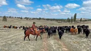 Die Rocky Mountains, über 3100 km Steine und Berge. Eine beeindruckende Landschaft, die Menschen und Kultur Nordamerikas entscheidend prägt.