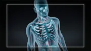 CGI IMAGE: Antibodies form in the body to ward off poisons.