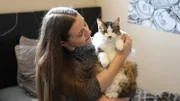 Guardian holding cat.