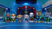 Zuma, Rubble, Skye, Coral, Marshall, Chase, Rocky.
