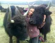 A view of the Yak farm.