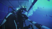 Jimi in cage looking at the shark.