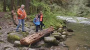 Linda und Gareth sind kürzlich mit ihrem Sohn von Großbritannien in die USA gezogen und träumen von einem eigenen Blockhaus am Fuße des Mount Hood, dem höchsten Berg von Oregon. Die drei lieben die Natur, gehen gern Skifahren, wandern und angeln. Momentan leben sie noch in Portland, wollen ihre Wohnung in der Großstadt aber möglichst schnell gegen ein Haus mitten im Wald eintauschen. Um das perfekte Objekt zu finden, haben sie Makler Noah engagiert.