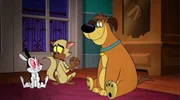 v.li.: Bunnicula, Chester, Harold