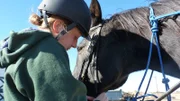 Staff performing treatments at the horse ranch.