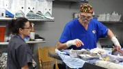 Dr. Jeff and Dr. Kraft working on Kala in the OR.