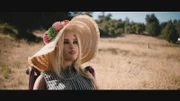 Harmony auf einer ausgetrockneten Wiese.