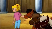 Bibi ist stolz auf die Sable-Island-Ponys, die gar nicht mehr wild und zottelig aussehen.
