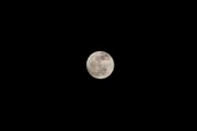 Der Vollmond am Nachthimmel.