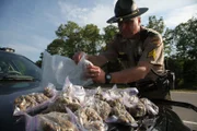 Ein Polizist beschlagnahmt in Nashville Gras und Marihuana.