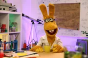 Professorin Hase