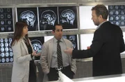 Der mysteriöse Patient weiß seinen Namen nicht und lügt, was seinen Drogenkonsum angeht. Masters (Amber Tamblyn, l.), Taub (Peter Jacobson, M.) und House (Hugh Laurie, r.) rätseln, was er noch verbirgt ...