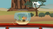 Ein kleiner Fisch reist in einem Aquarium, das auf einem Autodach steht, durch die Wüste.