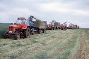 Trecker 1972 auf einem Feld in Mecklenburg-Vorpommern