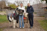 v.li.: Andrea Schlager und Roswitha Zink posieren für ein Foto mit Schaf und Pony