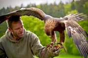 Elias mit Steinadler Berry
