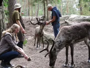 Bauchredner Benjamin Tomkins und seine Tochter Antonia füttern im Nuuksio Park Naehe Helsinki wilde Rentiere.