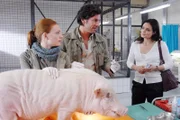 Tierärztin Dr. Susanne Mertens (Elisabeth Lanz, r.) ist empört! Wie kommt der neue Kurator Dr. Tom Berkhoff (Gregory B. Waldis, M.) dazu, einen operativen Eingriff an Schwein Otto vorzunehmen? Anett (Anna Bertheau, l.) beobachtet die Streithähne mit gemischten Gefühlen.