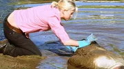 Ist Brians (John Sheerin) Tod ein Unfall, oder hat Becky (Jessica Napier) nachgeholfen?