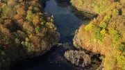 Mit dem Wasser kehren auch viele Tier- und Pflanzenarten in die Schorfheide zurück.