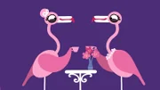 Die Flamingos genießen ihr Kaffeekränzchen.