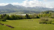Kärntner Rosental