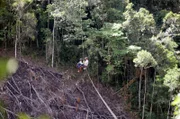 Die Zipline spannt sich 300 Meter über das Tal. Es gibt zwei Ziplines, eine für den Hin-, eine für den Rückweg. Sie starten auf unterschiedlichen Höhen, damit die Familie genug Schwung und Geschwindigkeit für die Überfahrt bekommt. Die Zipline ist über 30 Jahre alt und hängt stark durch. Das Kabel hängt in 200 Metern Höhe.
