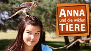 Logo Anna und die wilden Tiere | Bild: BR