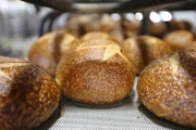 Sauerteigbrot aus San Francisco