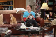 "The Zazzy Substitition" -- Coverage of the CBS series THE BIG BANG THEORY, scheduled to air on the CBS Television Network. Photo: Richard Cartwright/CBS ©2010 CBS Broadcasting Inc. All Rights Reserved.