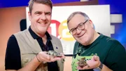 Coole Krokodile 1