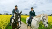 Beim Reiten im Gelände sollte man immer konzentriert sein.