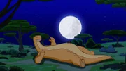 Tom ruht sich in Kenia bei Vollmond aus.