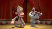 Bongo soll in einer Vorstellung in Milky und Chocks Zirkus auftreten, hat aber unglaubliches Lampenfieber. Milady spricht ihm Mut zu.