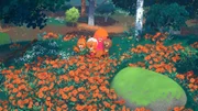 Mima mit Edmund, Luzie und Dingsda in einem Meer aus Blumen.