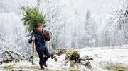 Endlich auf der hoch gelegenen Alm angekommen fehlt für Fritz Fuchs (Guido Hammesfahr) nur noch eins: Ein Tannenbaum. Doch ein paar Hürden gibt es noch, bevor es für alle richtig weihnachtet.
