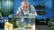 Im Aquarium versucht sich Peter Lustig (Peter Lustig) als Perlmuschelzüchter.