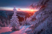 Im Winter liegen weite Teile Rumäniens unter einer dicken Schneedecke. Nahrung ist nun Mangelware.