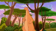Tom hat sich im Nationalpark in Nairobi verlaufen.