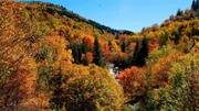 Während der letzten warmen Tage im Jahr sind die Great Smoky Mountains in alle nur erdenklichen Farbtöne getaucht. Die Herbstfarben sind eine spektakuläre Sehenswürdigkeit in den südlichen Appalachen.