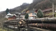Holztransport